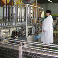 БЕЛВИНО ОАО 1.jpg БЕЛВИНО ОАО 1.jpg